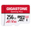 GIGASTONE 256-GB Gmplus Micro Sd Cord