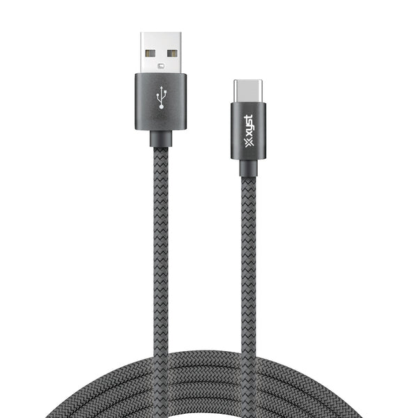 10FT USBC CBL BLK Main image