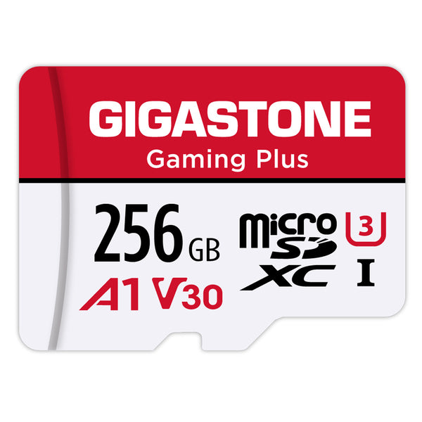 GIGASTONE 256-GB Gmplus Micro Sd Cord