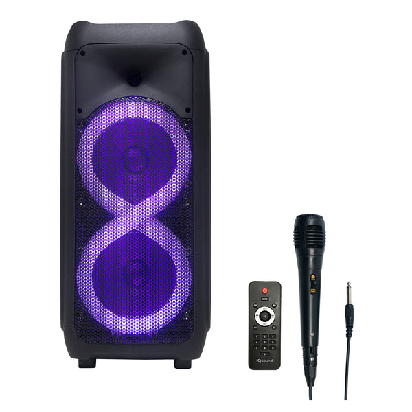 2X8IN PORT BT SPEAKER