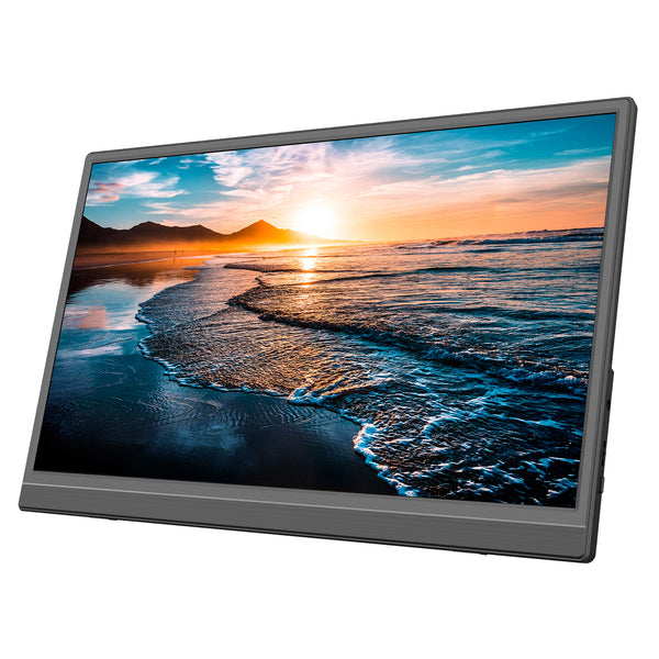 15.6IN FHD PORT DISPLAY Main image